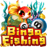 Bingo Fishing RTP Information