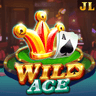 Wild Ace RTP Information
